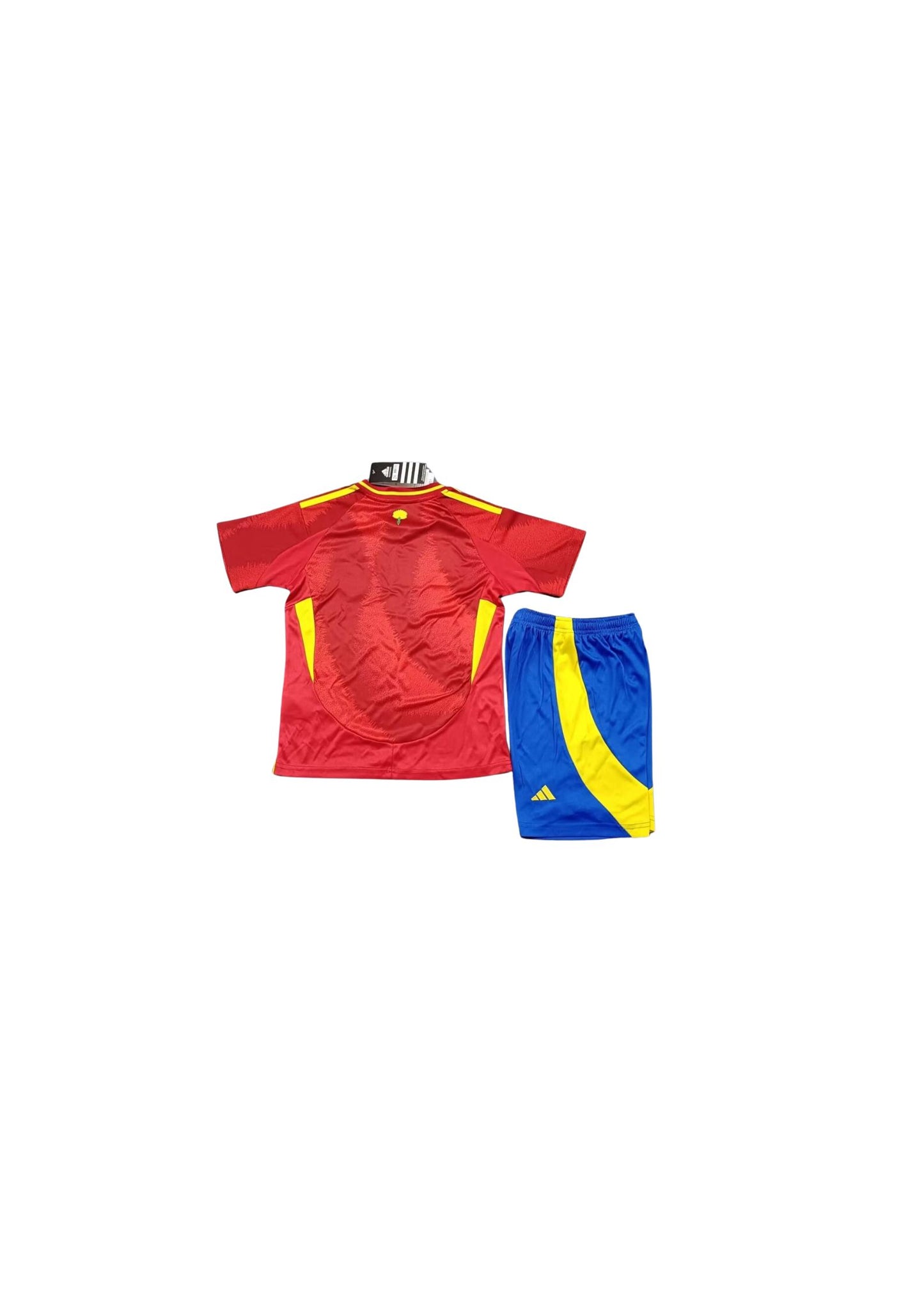ESPAGNE DOMICILE 2024 2025