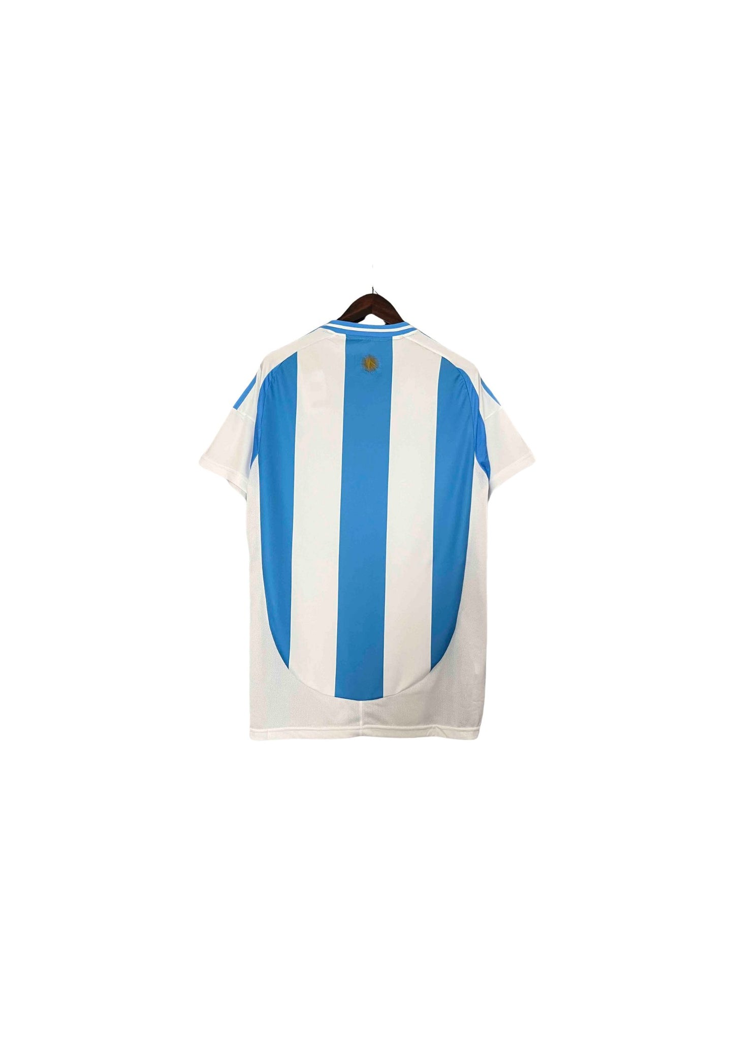 ARGENTINE DOMICILE 2024 2025