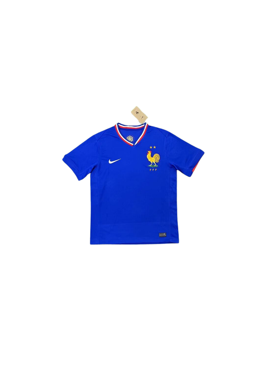 FRANCE DOMICILE 2024 2025