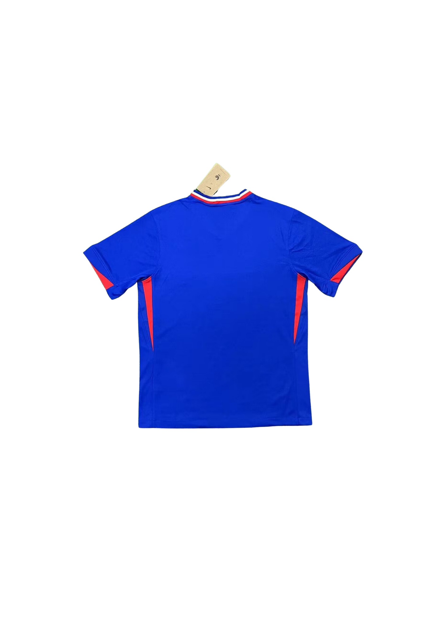 FRANCE DOMICILE 2024 2025