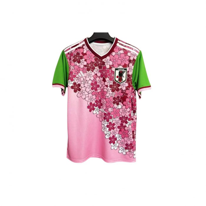 JAPON EDITION SPECIALE 2024 2025