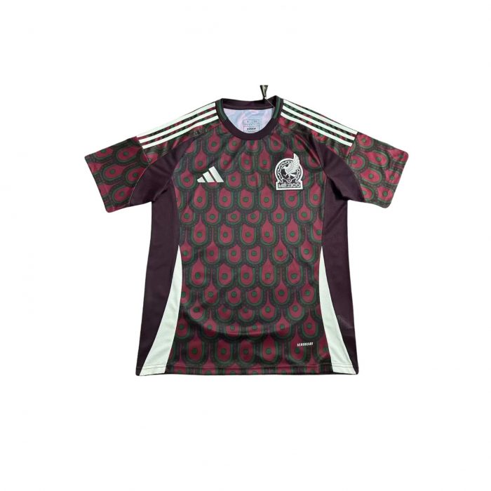 MEXIQUE DOMICILE 2024 2025