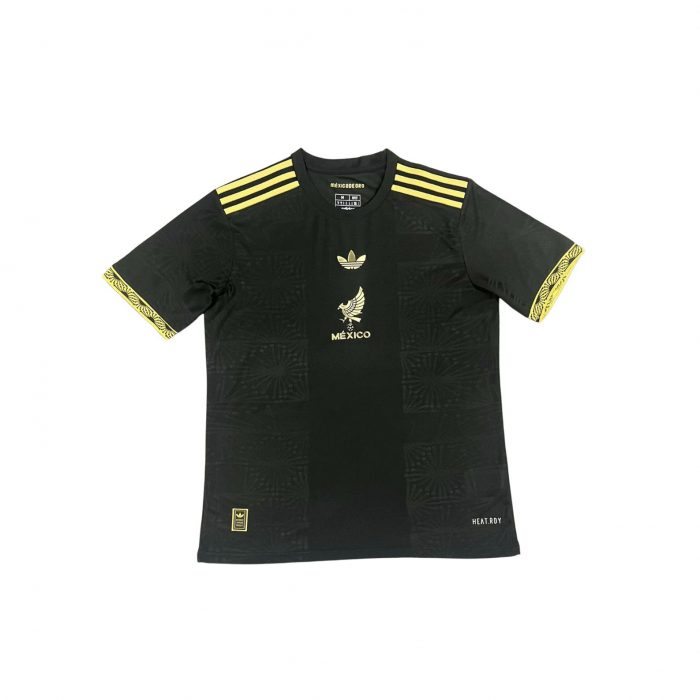 MEXIQUE EDITION SPECIALE 2025 2026