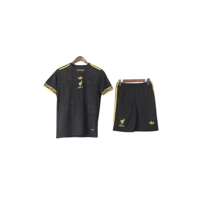 MEXIQUE EDITION SPECIALE 2025 2026