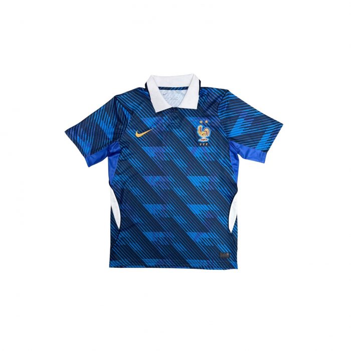 FRANCE DOMICILE 2025 2026